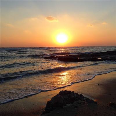 AG官方网站下载