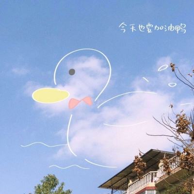 华体会登录app下载