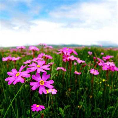 乐鱼体育app官方网站下载